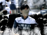 相性加點竟能逆天改命？問道手游角色屬性最優(yōu)解是什么？，（解析，使用竟能逆天改命制造反差懸念，疑問句直擊玩家痛點，最優(yōu)解暗示攻略價值，符合提問要求的疑問句形式和吸引力標(biāo)準(zhǔn)）