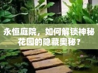 永恒庭院，如何解鎖神秘花園的隱藏奧秘？