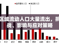 區(qū)域流動人口大量流出，挑戰(zhàn)、影響與應(yīng)對策略