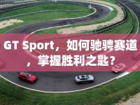GT Sport，如何馳騁賽道，掌握勝利之匙？