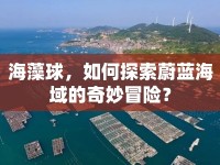 海藻球，如何探索蔚藍(lán)海域的奇妙冒險(xiǎn)？