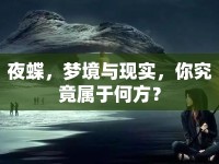 夜蝶，夢境與現(xiàn)實，你究竟屬于何方？