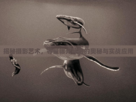 揭秘?cái)z影藝術(shù)，等量曝光補(bǔ)償?shù)膴W秘與實(shí)戰(zhàn)應(yīng)用