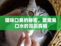 貓咪口臭的秘密，愛寵臭口水的背后真相