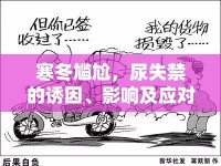 寒冬尷尬，尿失禁的誘因、影響及應(yīng)對(duì)策略