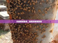 從蜂箱到餐桌，蜂蜜的甜蜜旅程