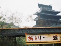 狠狠婷婷，她如何成為多才多藝的跨界新星？