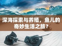 深海探索與養(yǎng)殖，魚兒的奇妙生活之旅？
