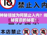 神秘領(lǐng)域?yàn)楹谓谷雰?nèi)？揭秘背后的秘密！