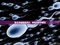 精子不經(jīng)意間流出，秘密與科學(xué)解讀