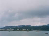 國產(chǎn)青春草，自然與健康能否真正完美結(jié)合？