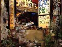 普陀孩子速度驚人，夢幻手游再現(xiàn)速度之神？