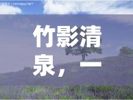 竹影清泉，一場(chǎng)味覺(jué)與自然的奇妙邂逅