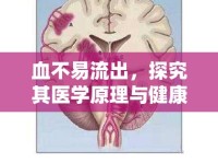 血不易流出，探究其醫(yī)學(xué)原理與健康意義