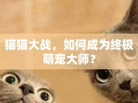 貓貓大戰(zhàn)，如何成為終極萌寵大師？