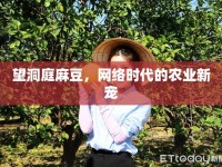 望洞庭麻豆，網絡時代的農業(yè)新寵
