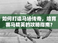 如何打造馬場傳奇，培育賽馬精英的攻略指南？