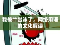 我被艸出沫了，網(wǎng)絡(luò)用語的文化解讀