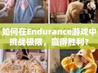 如何在Endurance游戲中挑戰(zhàn)極限，贏得勝利？