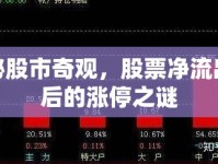 揭秘股市奇觀，股票凈流出背后的漲停之謎