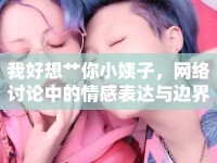 我好想艸你小姨子，網(wǎng)絡(luò)討論中的情感表達與邊界探討