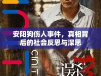 安陽(yáng)狗傷人事件，真相背后的社會(huì)反思與深思