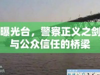 曝光臺(tái)，警察正義之劍與公眾信任的橋梁