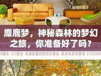 麋鹿夢(mèng)，神秘森林的夢(mèng)幻之旅，你準(zhǔn)備好了嗎？