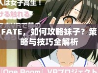 FATE，如何攻略妹子？策略與技巧全解析