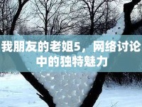 我朋友的老姐5，網(wǎng)絡(luò)討論中的獨(dú)特魅力