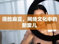 捂臉麻豆，網(wǎng)絡(luò)文化中的新寵兒