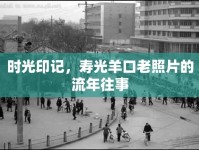 時光印記，壽光羊口老照片的流年往事