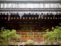 神武手游2龍女如何加點(diǎn)，才能打造最強(qiáng)輸出？