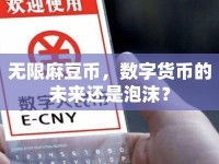 無限麻豆幣，數(shù)字貨幣的未來還是泡沫？