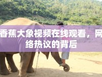 香蕉大象視頻在線觀看，網(wǎng)絡(luò)熱議的背后