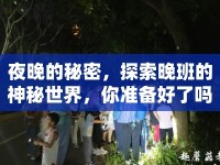 夜晚的秘密，探索晚班的神秘世界，你準(zhǔn)備好了嗎？