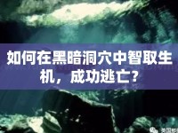 如何在黑暗洞穴中智取生機(jī)，成功逃亡？