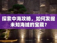探索中海攻略，如何發(fā)掘未知海域的寶藏？