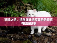 貓眼之淚，揭秘貓咪淚痕背后的情感與健康故事