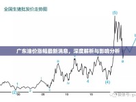 廣東油價(jià)漲幅最新消息，深度解析與影響分析