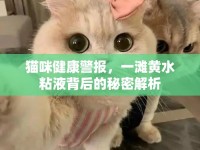貓咪健康警報，一灘黃水粘液背后的秘密解析