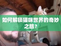 如何解鎖貓咪世界的奇妙之旅？