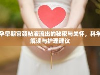 孕早期宮頸粘液流出的秘密與關(guān)懷，科學(xué)解讀與護(hù)理建議