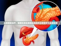 從病理到治療，胰腺炎滲出液流出路線的深度解析與全程探索