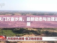 天門萬(wàn)畝沙海，最新動(dòng)態(tài)與治理進(jìn)展