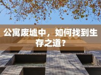 公寓廢墟中，如何找到生存之道？