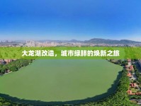 大龍湖改造，城市綠肺的煥新之旅