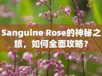 Sanguine Rose的神秘之旅，如何全面攻略？