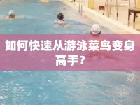 如何快速從游泳菜鳥變身高手？