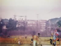 飄揚(yáng)過(guò)海來(lái)看你，跨越時(shí)空的情感共鳴